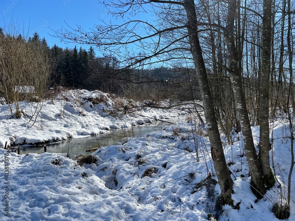 Fototapeta premium winter landscape with snow
