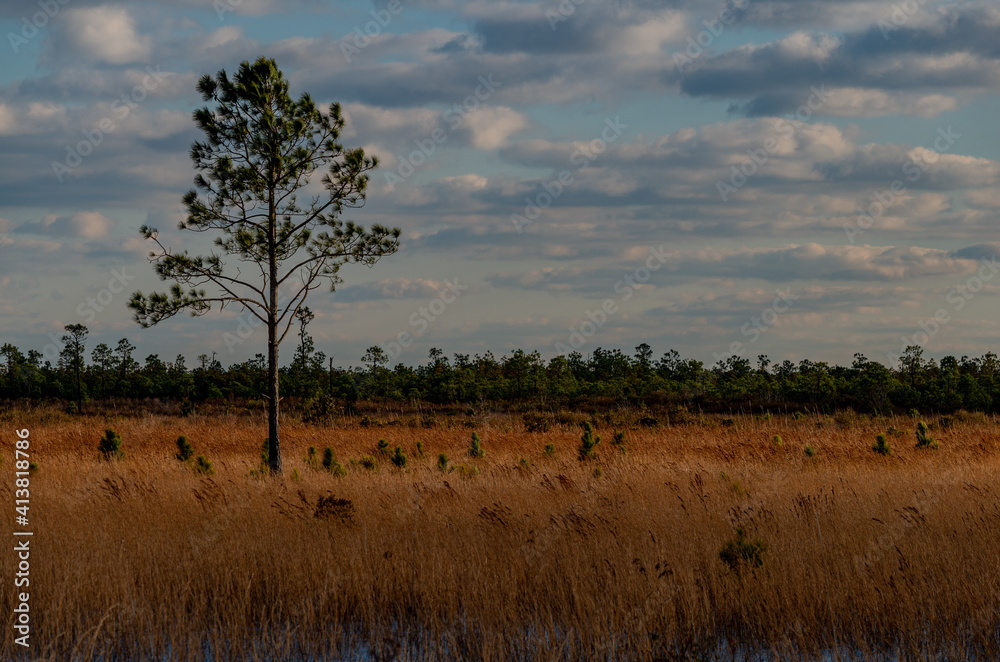 Cloudy Afternoon 3