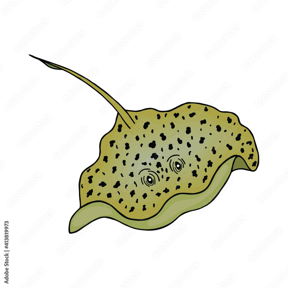 Electric Stingray is a sea animal. Vector stock illustration eps10. Isolate on white background Electric Stingray is a sea animal. Vector stock illustration eps10. Isolate on white background