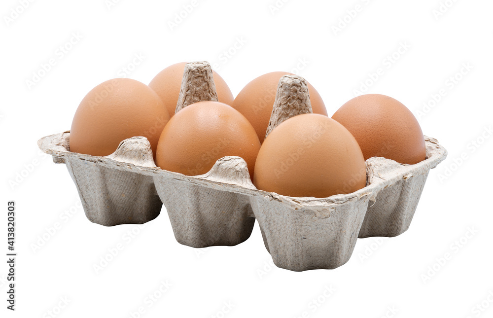 6 Eggs in egg carton side view isolated on white background with clipping path,high resolution files