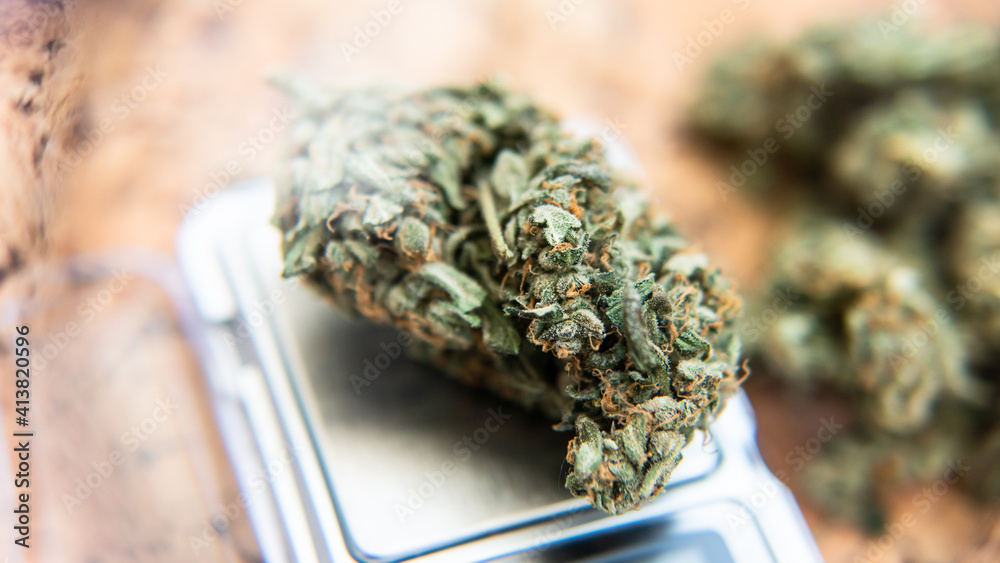big marijuana bud in mans hand in details. Strong cannabis strai big marijuana bud in mans hand in details. Strong cannabis strai