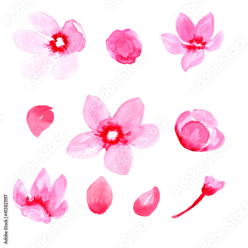 Watercolor, Sakura, Branch, Flower, SAKURA Pink, Pink flower, Rose petal, Cherry, Watercolor flower. © AnaNas