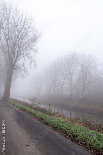 Scene along a canal with trees in the mist