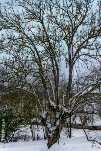 de paseo por la nieve