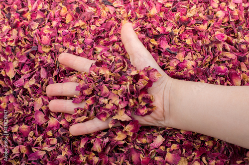 Background of dried  rose petals photo