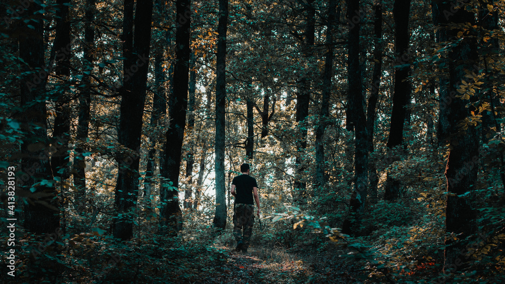 Rear view of man walking amidst trees in forest