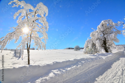 Tableau sur toile Winter