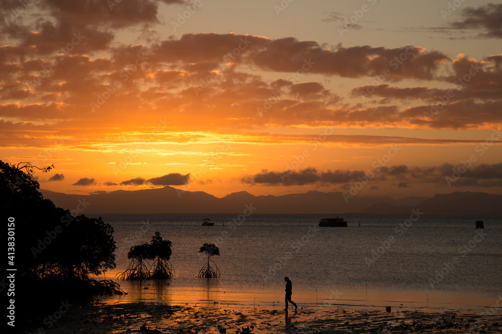 Silhouette of person & mangroves at sandy beach during a golden sunset Silhouette of person & mangroves at sandy beach during a golden sunset