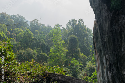 Panoramic landscape view of lush green forest of Kumta seen from Yana Caves located in Yana, Uttara Kannada, Karnataka, India