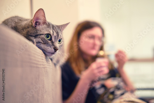 Foto Pet on the bed watching a movie on tv next to a woman