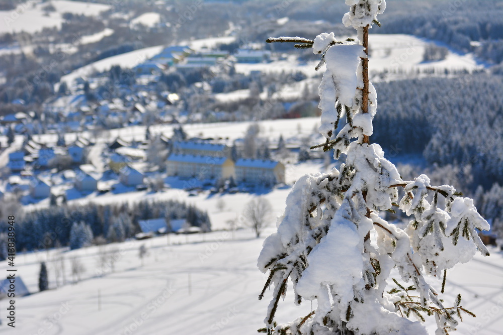 Obraz premium Winter