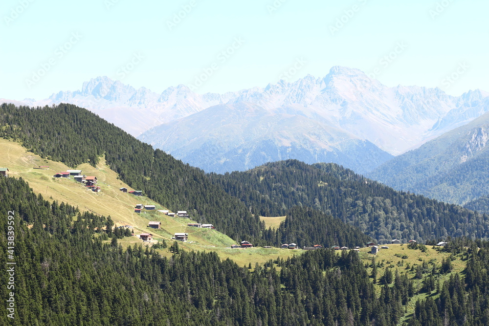 Fototapeta premium landscape in the summer