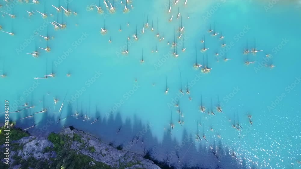Coniferous trees rise from the depths of a mountain lake. Top view from the drone. On the shore you can see rocks, green forest and grass growing. Kaindy Lake, Kazakhstan. Groups tourists are resting. Coniferous trees rise from the depths of a mountain lake. Top view from the drone. On the shore you can see rocks, green forest and grass growing. Kaindy Lake, Kazakhstan. Groups tourists are resting.