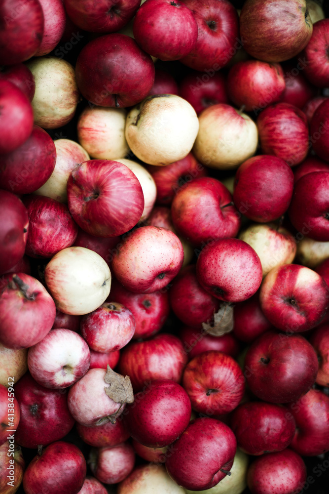 Harvested red apples at a market. Harvested red apples at a market.