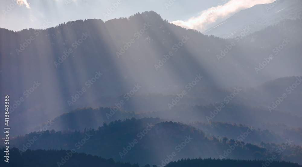 Sunlight Beams on the Mountain -  Pine forest in morning mist