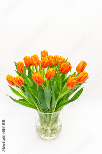 Tulpenstrauß in einer Glasvase auf weißem Hintergrund