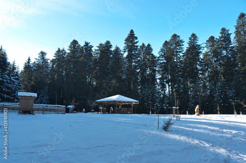 Kraftvolle weitwinkelaufnahme im schwarzwald mit schnee, blauem himmel, tannen natürlich mit kraftvollen farben © Daniel