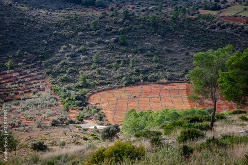Wallpaper Mural diverse Cultivation landscape  in Alcala de Xivert Spain Torontodigital.ca