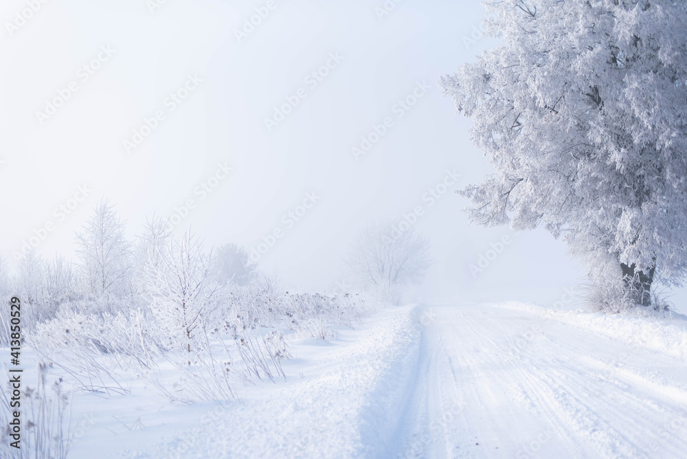 Winter rural landscape, road between fields and meadows covered with snow, trees covered with frost, misty cold morning, beautiful hoarfrost covered pines and grasses