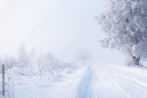 Winter rural landscape, road between fields and meadows covered with snow, trees covered with frost, misty cold morning, beautiful hoarfrost covered pines and grasses © Studio Afterglow