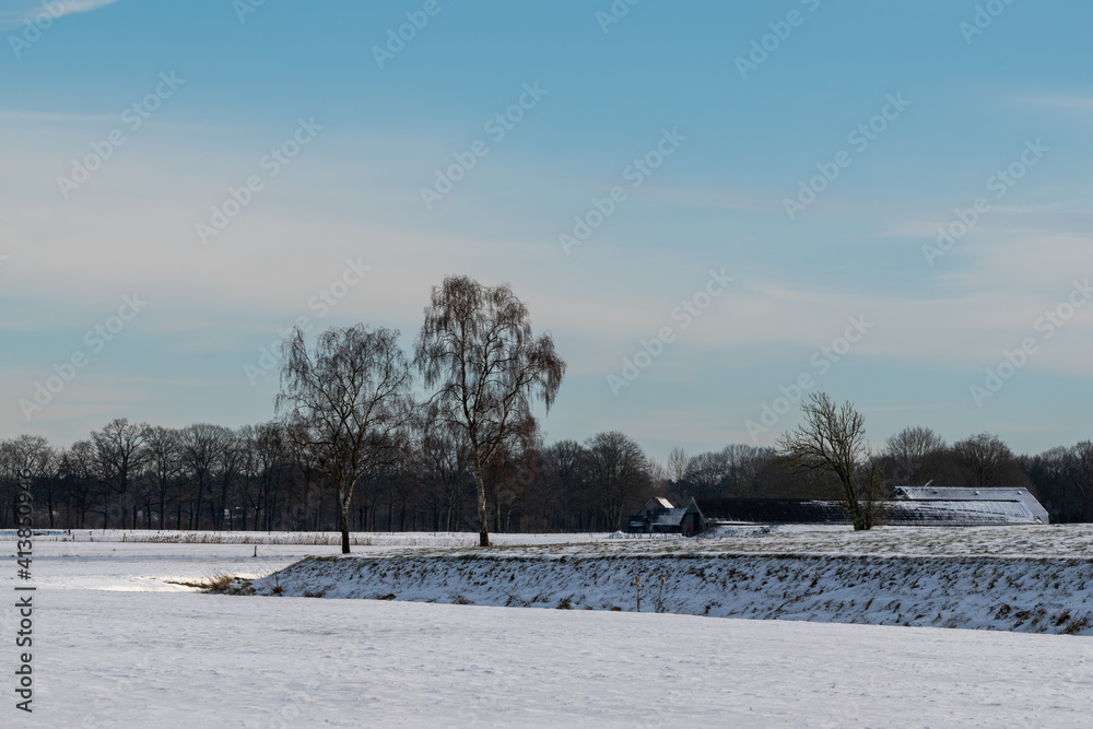 winter landscape with trees winter landscape with trees