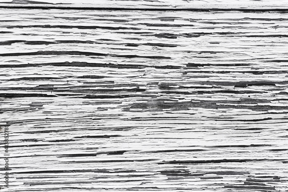 Peeling paint texture. White wood background. Paint desk texture. Cracked wooden wall pattern. Gray vintage rustic plank. Ancient wooden board. Peeling paint texture. White wood background. Paint desk texture. Cracked wooden wall pattern. Gray vintage rustic plank. Ancient wooden board.