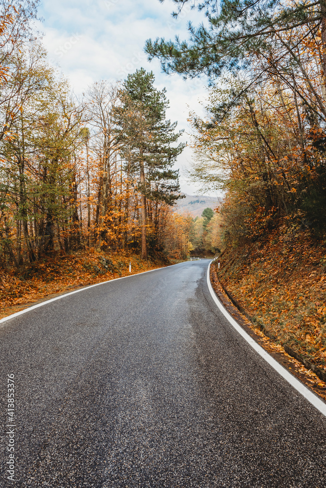 Asphalt road through the yellow forest in Tuscany, autumn season