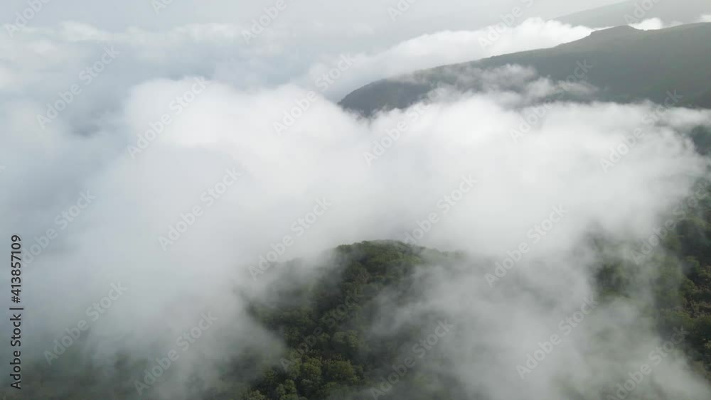 Flying above the clouds over a green mountain. Fanal madeira island. Flying above the clouds over a green mountain. Fanal madeira island.