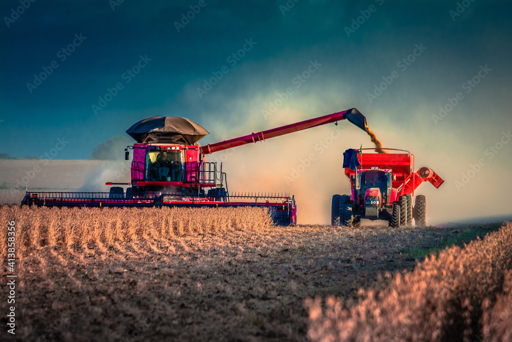 Fototapeta premium Agribusiness: Harvest Soybean, Agriculture - Agricultural Harverster Machine - Tapurah, Mato Grosso, Brazil.