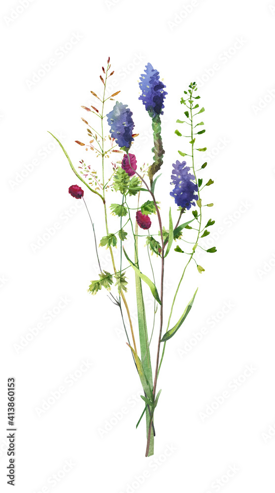 Fototapeta premium Watercolor bouquet of wildflowers and herbs on a white background 