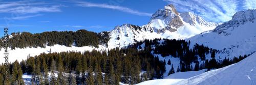 Gantrischgebiet im Winter, Panoramafoto