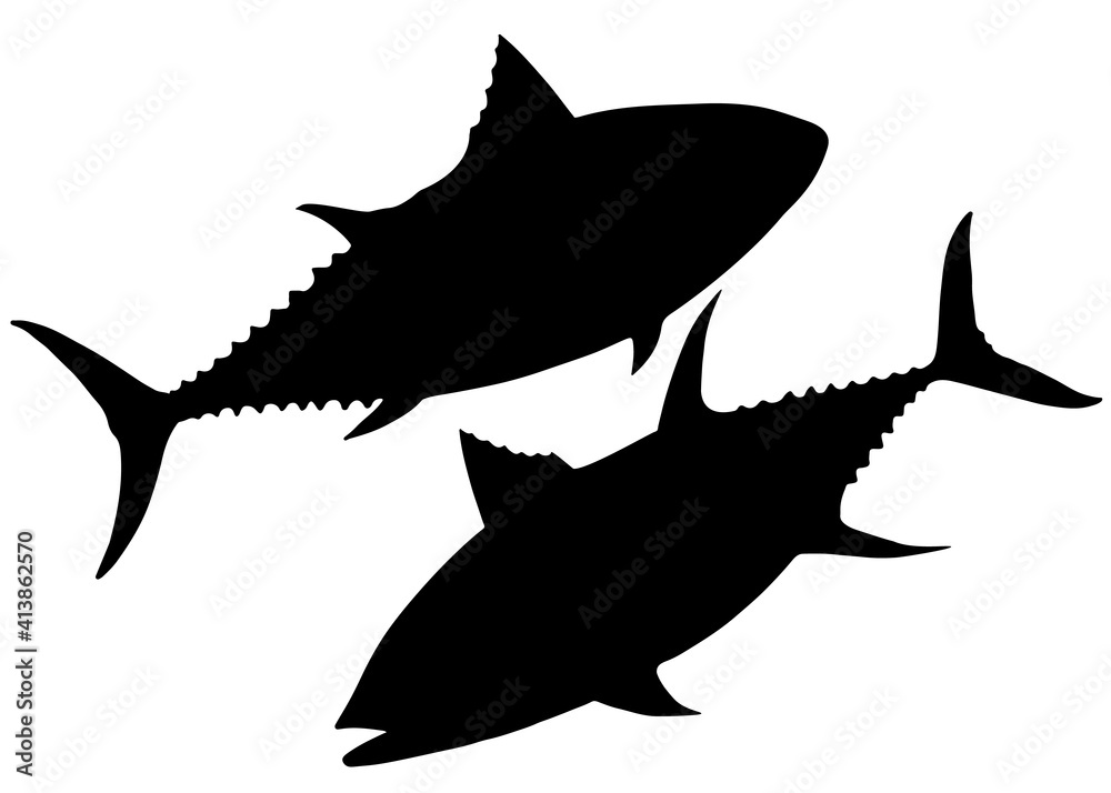 Obraz premium Sea tuna fish in a set. Vector image.