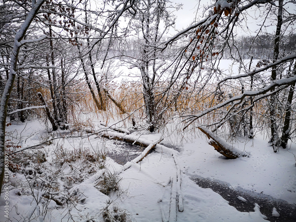 Winter 2021 Winter 2021