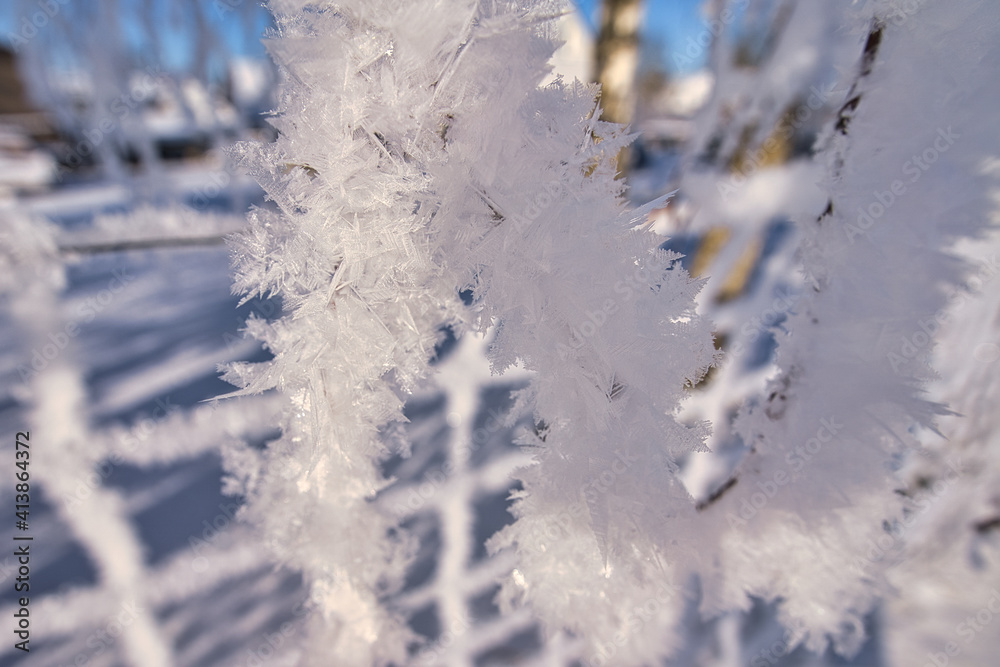 Eiskristalle, Schneeflocken und Schnee auf Ästen, Bäumen und Pflanzenstängel - an einem sonnigen, eiskaltem Wintertag