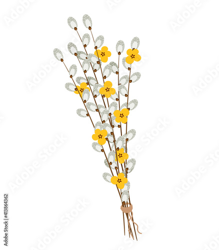 Pussy willow bouquet isolated on white background. Vector illustration.