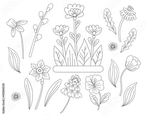 Spring flowers set - chamomile, daffodil, tulip, dandelion, violet and pussy willow. Vector drawing. Black line, outline. Ornamental first plants for printing, decor, design, decoration and postcards
