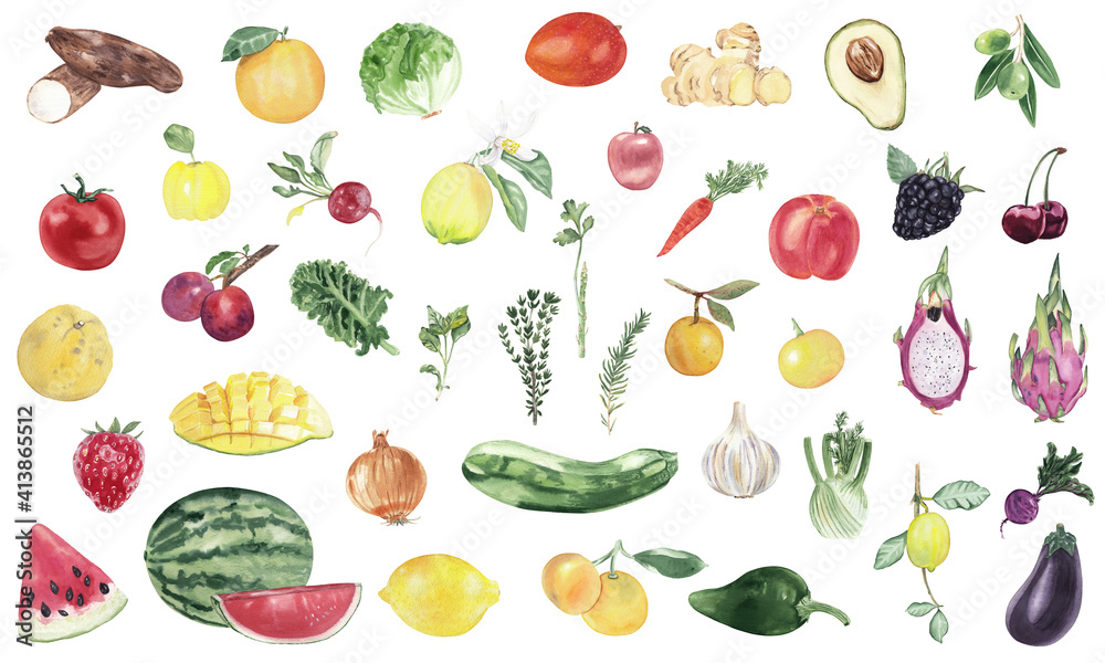Watercolor hand drawn set isolated on white. Fresh fruits and vegetables. Healthy lifestyle. Eco and bio food. Gardening, farming, cooking. Recipe book, cook book, menu Watercolor hand drawn set isolated on white. Fresh fruits and vegetables. Healthy lifestyle. Eco and bio food. Gardening, farming, cooking. Recipe book, cook book, menu