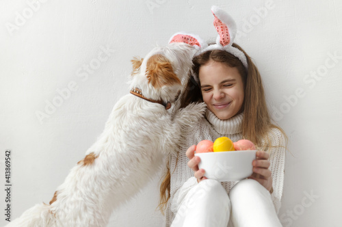  teenage girl 10 years old in a white sweater and jeans, rabbit ears, with pink and yellow Easter eggs in her hands against a white wall, the dog licks the child's face, plays