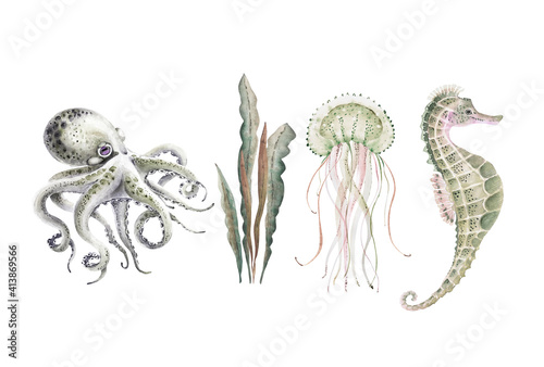 set of watercolor illustrations in marine style on a white background, with marine life, jellyfish, octopus, seaweed and seahorse hand painted