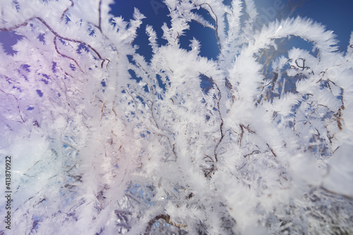 Eiskristalle, Schneeflocken und Schnee auf Ästen, Bäumen und Pflanzenstängel - an einem sonnigen, eiskaltem Wintertag © Angelika Beck