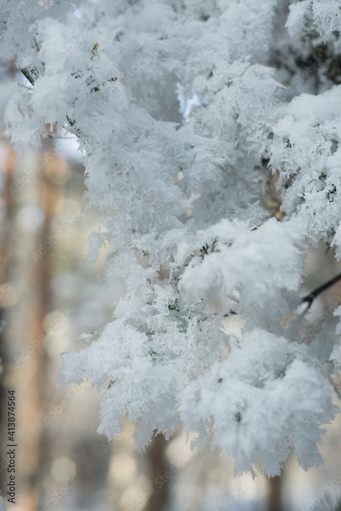 Winter. Snow. Cold. Winter. Snow. Cold.