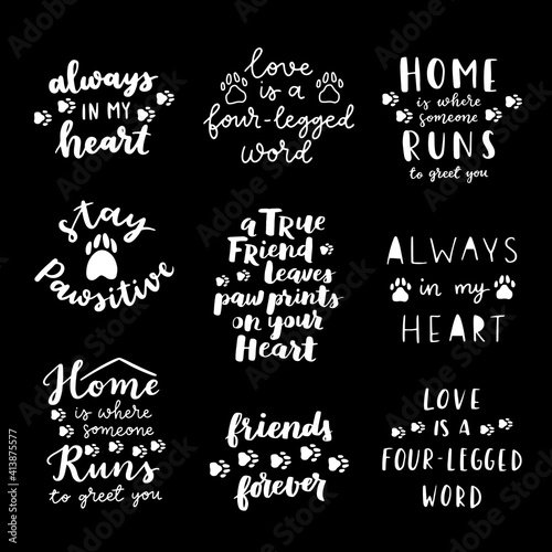 Cat and dog phrase black and white poster. Inspirational quotes about cat, dog and domestical pets. Hand written phrases about pet adoption. Adopt a dog or cat.