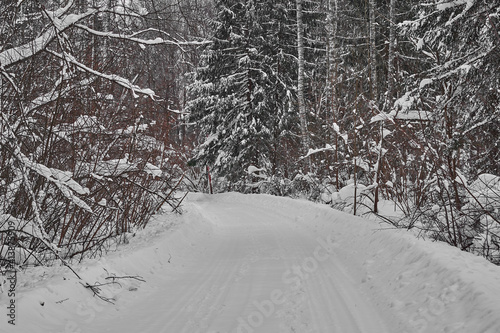 The road through the winter forest in the Moscow region. Winter landscape.