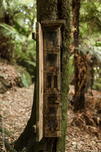 Weta habitat box in a nature reserve in New Zealand photo