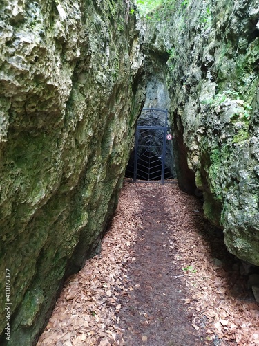 Fototapeta Naklejka Na Ścianę i Meble -  ojcowski park narodowy jaskinie