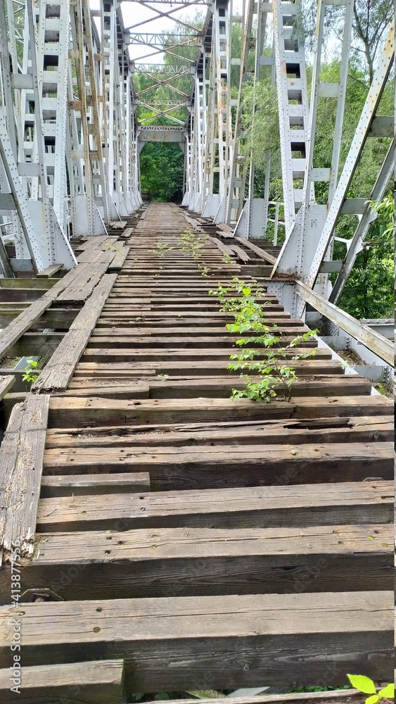 Fototapeta premium myslowyce