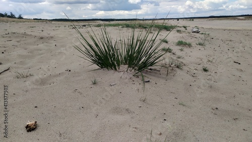 pustynia bledowska photo