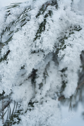 Winter © Yarchy