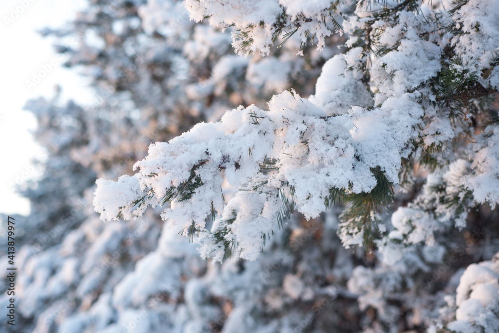 Winter Winter