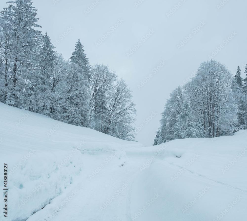 Obraz premium Romantik im Winter mit Schnee